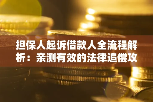 武汉担保人起诉借款人全流程解析：亲测有效的法律追偿攻略