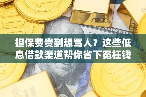 武汉担保费贵到想骂人？这些低息借款渠道帮你省下冤枉钱