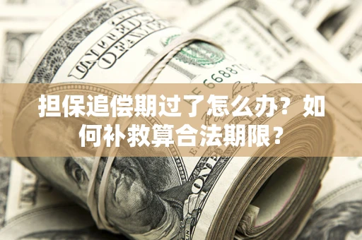 武汉担保追偿期过了怎么办？如何补救算合法期限？