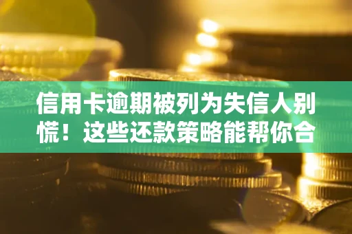 武汉信用卡逾期被列为失信人别慌！这些还款策略能帮你合法止损