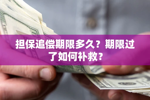 武汉担保追偿期限多久？期限过了如何补救？