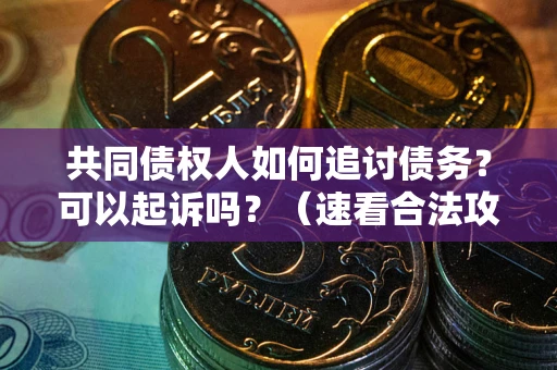 武汉共同债权人如何追讨债务？可以起诉吗？（速看合法攻略）